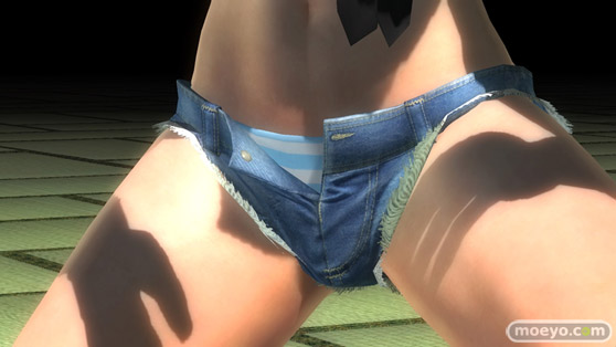 DEAD OR ALIVE 5 Last RoundのDEAD OR ALIVE FESTIVAL 2016来場者限定コスのパンツ画像04