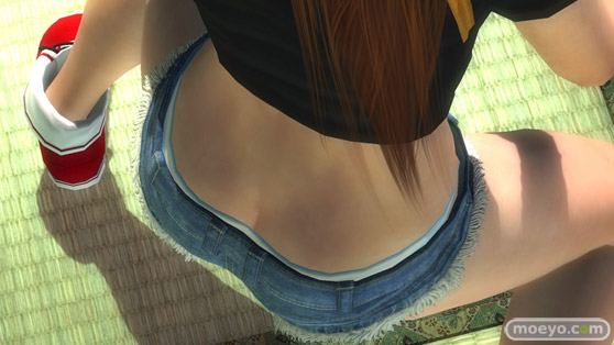 DEAD OR ALIVE 5 Last RoundのDEAD OR ALIVE FESTIVAL 2016来場者限定コスのパンツ画像06