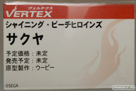 ワンダーフェスティバル 2016［夏］のヴェルテクスの美少女フィギュア新作画像09