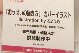 ワンダーフェスティバル 2016［夏］のスカイチューブのエロ美少女フィギュア新作画像35