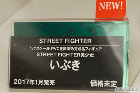 ワンダーフェスティバル 2016［夏］のコトブキヤの美少女フィギュア新作画像19