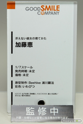 ワンダーフェスティバル 2016［夏］のグッドスマイルカンパニーの美少女フィギュア新作画像 25