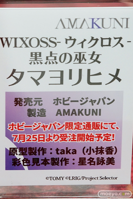 千斗いすず　モリガン　タマヨリヒメ　など秋葉原の新作フィギュア展示の様子41