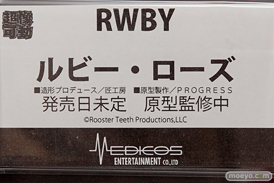 ワンダーフェスティバル 2016［夏］のメディコスエンタテインメント ディ・モールト ベネ の美少女フィギュア新作画像26