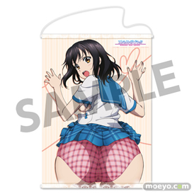 ストライク・ザ・ブラッド 姫柊雪菜 おしりマウスパッド B2タペストリー付限定版　おっぱいマウスパッドのサンプル画像02