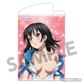 ストライク・ザ・ブラッド 姫柊雪菜 おしりマウスパッド B2タペストリー付限定版　おっぱいマウスパッドのサンプル画像04