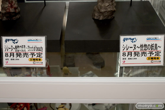 秋葉原の各お店の新作美少女フィギュア展示の様子06