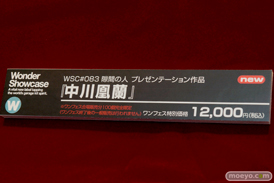 ワンダーフェスティバル 2016［夏］のワンダーショウケースブースの空母ヲ級 ver.K　「化猫陰陽師」月影　中川凰蘭　ガレージキット作例展示の様子画像 06