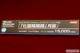 ワンダーフェスティバル 2016［夏］のワンダーショウケースブースの空母ヲ級 ver.K　「化猫陰陽師」月影　中川凰蘭　ガレージキット作例展示の様子画像 10