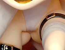 「「化猫陰陽師」月影」「空母ヲ級 ver.K」「中川凰蘭」など ワンダーショウケースブース新作フィギュア特集【WF2016夏】