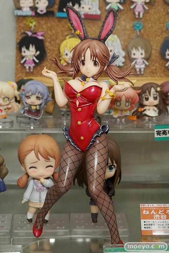 秋葉原での新作フィギュア展示の様子アイリスディーナ10