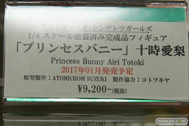 秋葉原での新作フィギュア展示の様子アイリスディーナ11