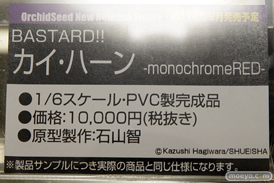 秋葉原での新作フィギュア展示の様子アイリスディーナ13