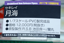 秋葉原での新作フィギュア展示の様子アイリスディーナ17