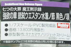 秋葉原での新作フィギュア展示の様子アイリスディーナ19