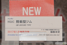 第56回ホビーショーのバンダイブースのガンプラ新作展示の様子29