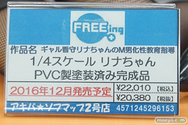 水無月ららやシアンなど秋葉原の新作フィギュア展示の様子12