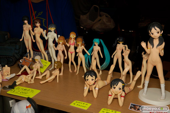 画像　フィギュア　サンプル　レビュー　ワンダーフェスティバル 2016［夏］　APFSDS ARC！パテパに R／S 06