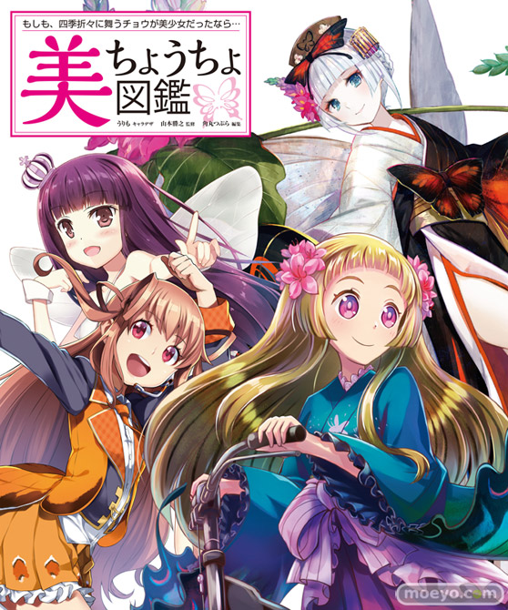 美ちょうちょ図鑑のサンプル画像01