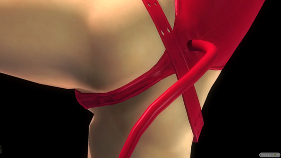 DEAD OR ALIVE 5 Last Round みんなのハロウィンコスチューム 2016の「紅葉」「レイチェル」「Alpha-152」「フェーズ4」「女天狗」エロパンツ画像29