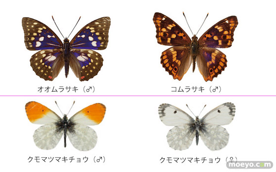 豪華プレゼントが当たる発売記念キャンペーン開催決定！02