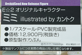 秋葉原の新作フィギュアサンプル展示の様子45