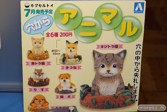 AK-GARDEN【11】 アオシマ　アゾン　ブースの様子画像09