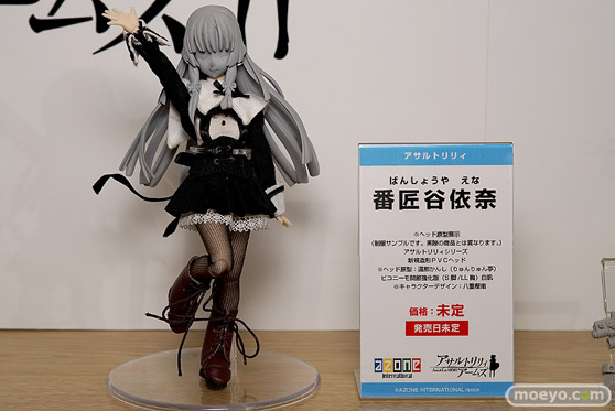 AK-GARDEN【11】 アオシマ　アゾン　ブースの様子画像11