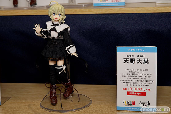 AK-GARDEN【11】 アオシマ　アゾン　ブースの様子画像14