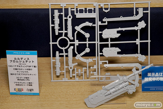 AK-GARDEN【11】 アオシマ　アゾン　ブースの様子画像18