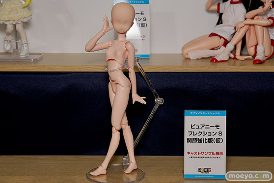 AK-GARDEN【11】 アオシマ　アゾン　ブースの様子画像26