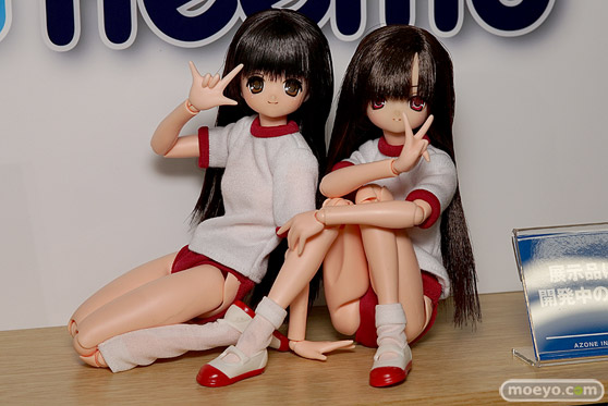 AK-GARDEN【11】 アオシマ　アゾン　ブースの様子画像27