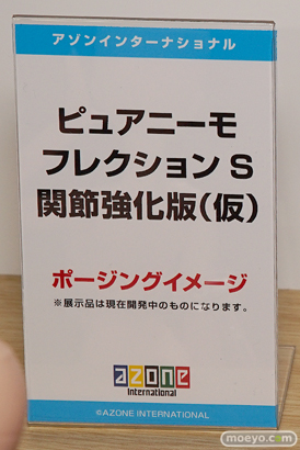 AK-GARDEN【11】 アオシマ　アゾン　ブースの様子画像28