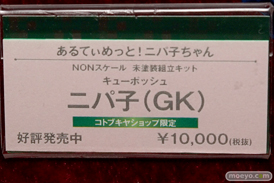 AK-GARDEN【11】 コトブキヤ　トミーテック　ブースの様子画像10