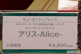 AK-GARDEN【11】 コトブキヤ　トミーテック　ブースの様子画像20