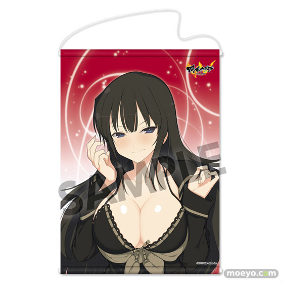 閃乱カグラ 神楽 おっぱいマウスパッド 抱き枕カバーのサンプル画像04