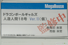 メガホビEXPO2016 Autumnのメガハウスブース展示の様子画像08