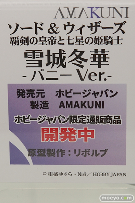 ホビージャパンのソード＆ウィザーズ 覇剣の皇帝と七星の姫騎士 雪城冬華 －バニーVer.の新作フィギュア彩色サンプル画像11