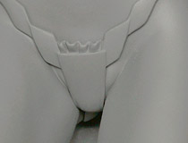 「サクヤ」「立花響」「スィーリア　黒猫ver.」など 週間Twitter人気記事特集（2016年12月第2週）