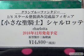 秋葉原の新作フィギュア展示の様子14