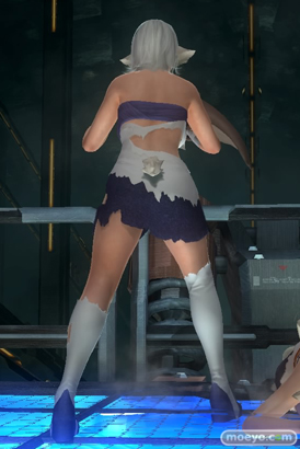 DEAD OR ALIVE 5 Last Roundの『アクアプラス』コラボコスチューム ヒトミ　レイファン　ティナ　エレナ　クリスティ　のパンツ画像20