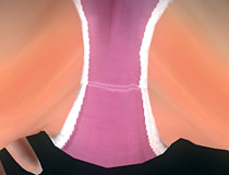 「DEAD OR ALIVE 5 Last Round」新作コスDLC「『アクアプラス』コラボコスチューム」 おパンツ特集「紅葉」「レイチェル」「フェーズ4」「女天狗」編