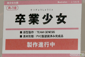 「トレジャーフェスタin有明16」の美少女大陸の新作アダルトフィギュア画像03