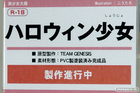 「トレジャーフェスタin有明16」の美少女大陸の新作アダルトフィギュア画像06