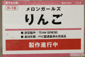 「トレジャーフェスタin有明16」の美少女大陸の新作アダルトフィギュア画像09