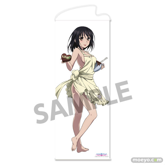 ストライク・ザ・ブラッド II OVA B2タペストリー 姫柊雪菜