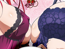 「ハイスクールD×D BorN リアス＆朱乃 ぽふぽふネックピロー B2タペストリー付限定版」予約受付中！