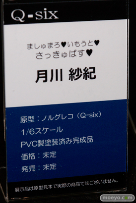 「ワンダーフェスティバル 2017［冬］」 Q-sixブースレポ14