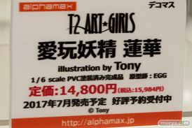 「ワンダーフェスティバル 2017［冬］」 アルファマックス/スカイチューブブースレポ12