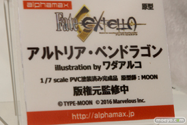 「ワンダーフェスティバル 2017［冬］」 アルファマックス/スカイチューブブースレポ18